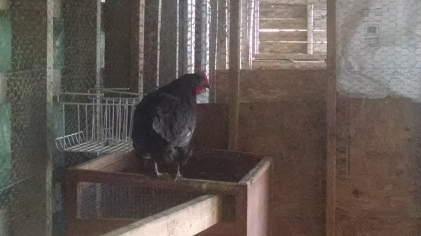 IMG_20170710_205346160