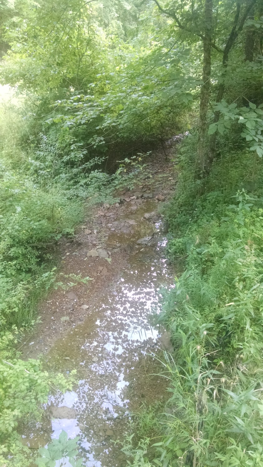 IMG_20170801_190051074