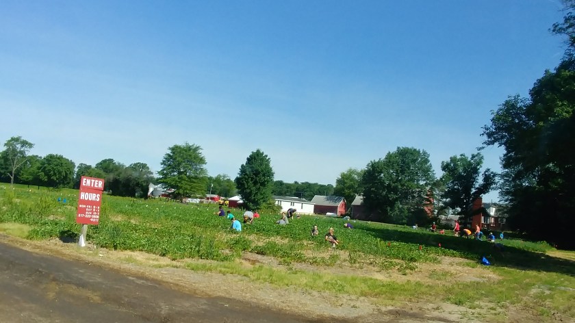 0615181025b_HDR.jpg