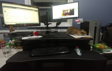 0109192029~2