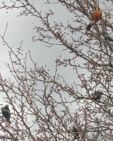 IMG_20190318_180454_736