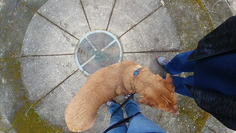 56189919_858268527855616_5633697499672739840_n