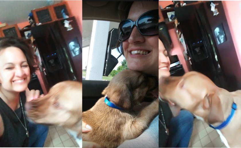 2019-09-19_23-18-24
