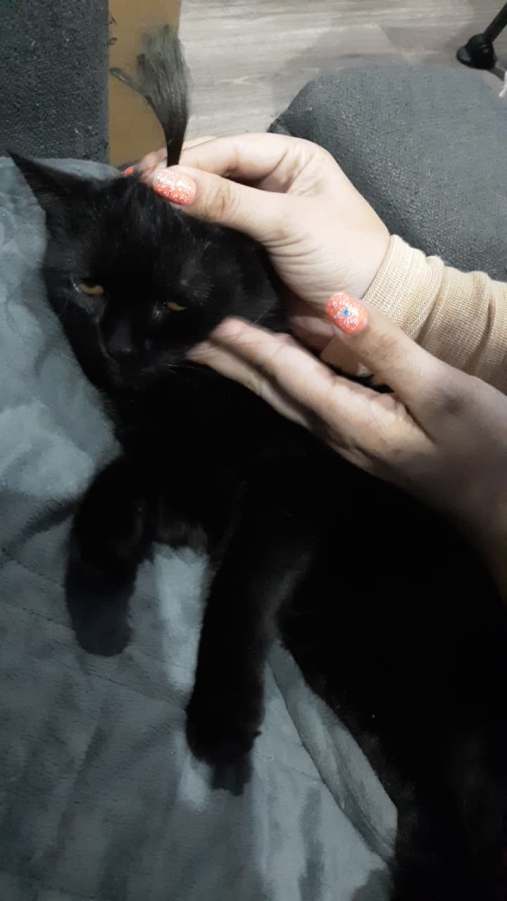 98565508_1334628166741682_7236647086303739904_n